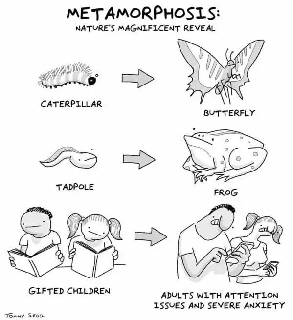   A New Yorker cartoon by Tommy Siegel. Title: 'Metamorphosis - Nature's Magnificent Reveal' Caterpillar -> Butterfly Tadpole -> Frog Gifted Children -> Adults with attention issues and severe anxiety